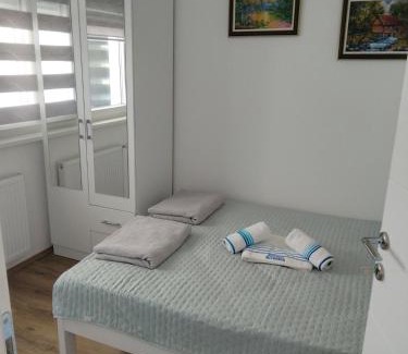 Banja Koviljaca Apartamento | Апартман Љесковац