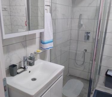 Banja Koviljaca Apartamento | Апартман Љесковац