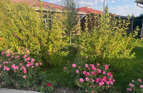 Issyk-Kul Region Apartamento | Аппарат