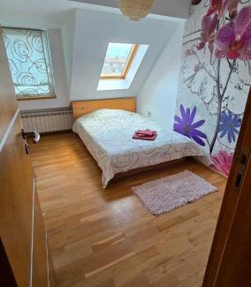 Plovdiv Center Apartamento | Арт мезонет под тепето
