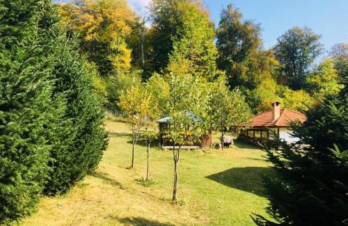 Karlovo Casa | Бунгала Дара