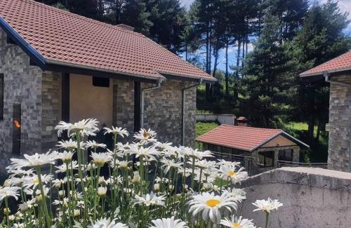 Dospat Casa | Ваканционна къща ,Родопски уют "