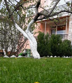 Dospat Casa | Вила Багрянови