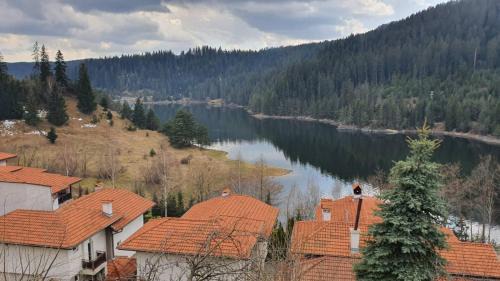 Dospat Casa | Вила Родопи