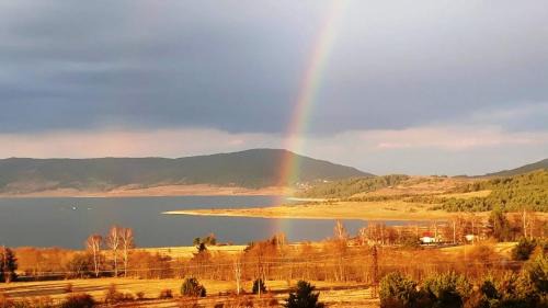 Tsigov Chark Casa | Вили Green