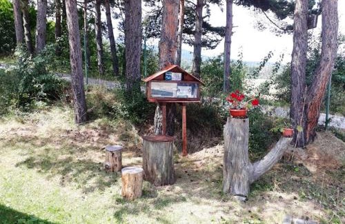 Tsigov Chark Casa | Вили Green