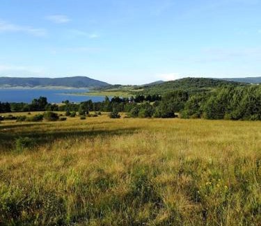 Tsigov Chark Casa | Вили Green