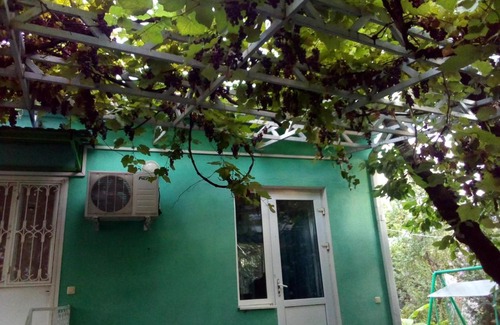 Agoy Casa | Вино кино
