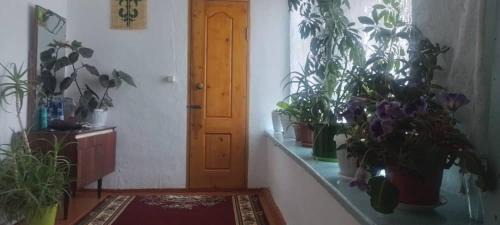 Bokonbayevo Casa | Гостевой дом Максат