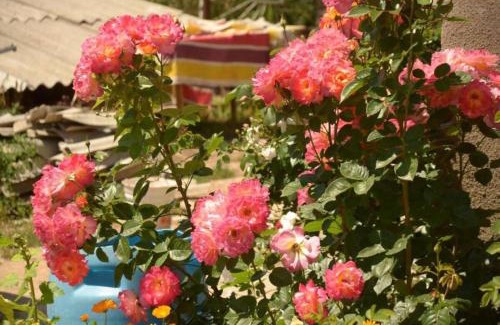Issyk-Kul Region Casa | Гостевой дом Sabyl