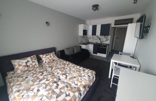 Iskar Apartamento | Димоти Апартхотел