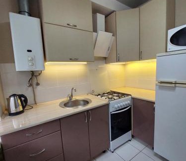 Babushkins'kyi district Apartamento | Домашняя обстановка в квартире на Пр Гагарина 92