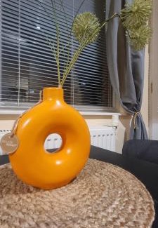 Pleven Apartamento | Дунав билдингс 3