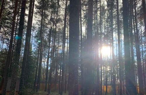 Aleshinskoe Casa | Загородный комплекс ЛЕС и РЕКА