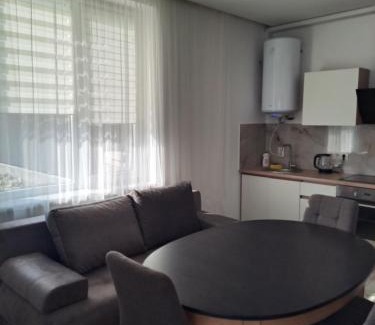 Berehove Apartamento | Затишок Берегово неподалік від басейнів "Спортбаза Закарпаття" і "Жайворонок"