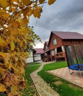 Polyana Casa | "Карпатський краєвид"