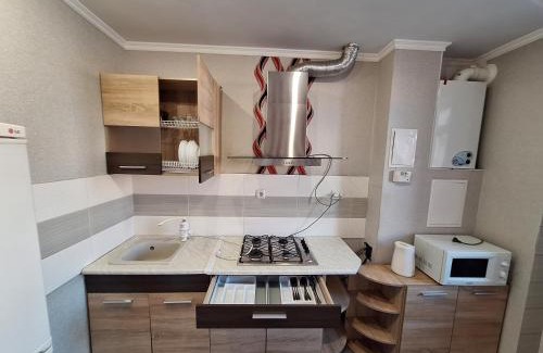 Sukhinovka Apartamento | Квартира в Розсошенцях з Великим ліжком ванною і кондиціонеромrtments Документи для відряджень