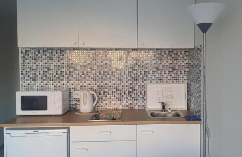 Klaipeda Apartamento | Квартира-студия рядом с Акрополем Клайпеда