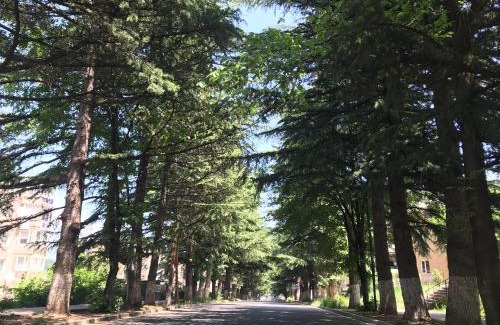 Dilijan Apartamento | Квартира с видом на природу