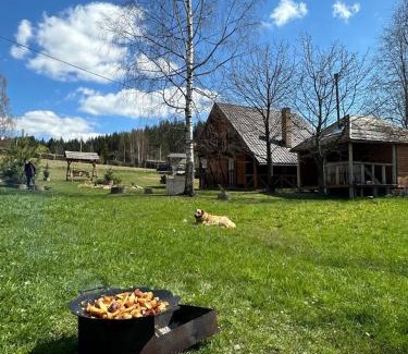 Verkhovyna Cabina | КУЛУАР/KULUAR