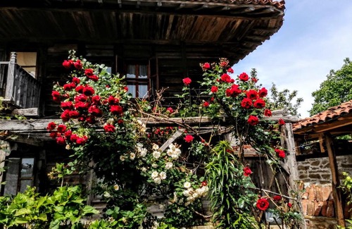Zheravna Casa | Къщата на художника