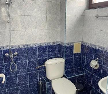 Dobrinishte Casa | Къща за гости Александра