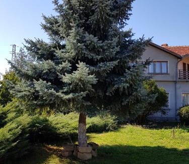 Gradets Casa | Къща за гости Садово Guest House Sadovo