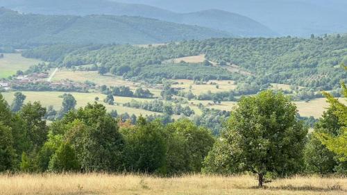 Kotel Casa | Къща за гости Светулките Fireflies Guest House