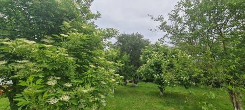 Kotel Casa | Къща за гости Светулките Fireflies Guest House