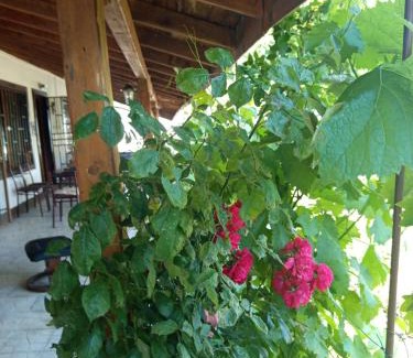 Kamenar Casa | Къща за гости Veranda Raia Поморие