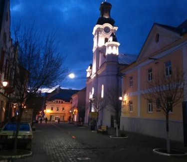 Uzhhorod Casa | Кімнати в центрі