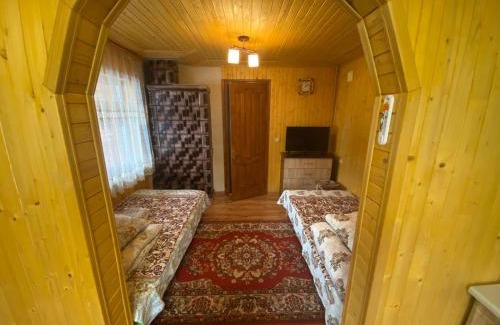 Verkhovyna Apartamento | Міні Котедж
