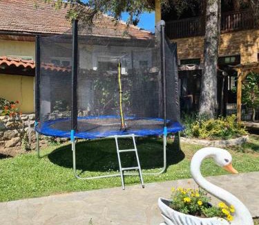 Elena Casa | николовата къща