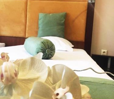 Silistra Hotel | Пансион Роди