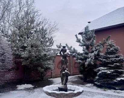 Velyka Byyhan Cama Y Desayuno | Пансіонат Маленька Квітка Kis Virág Panzió