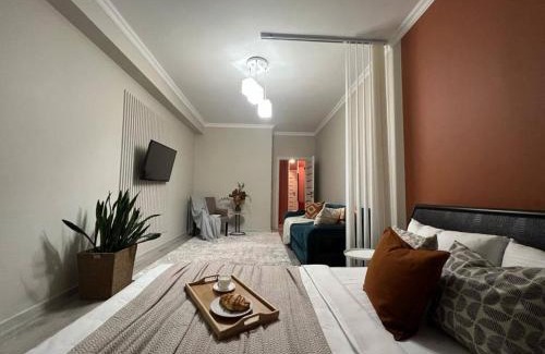Kazakhstan Apartamento | Просторные двухкомнатные апартаменты Терракота
