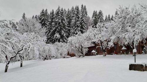 Snidavka Casa | Райський куточок