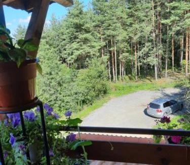 Vranyantsi Casa | Райчевата къща - Кюстендил