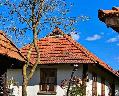 Vyzhnytsya Casa | Садиба Гардига