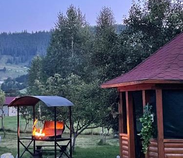 Verkhovyna Apartamento | Садиба Карпат