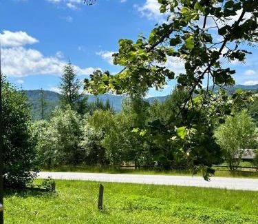 Pidhorodtsi Chalet De Esquí | Садиба Лісова