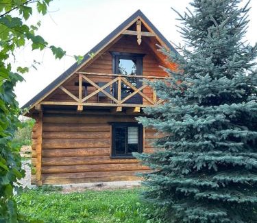 Snidavka Casa | Садиба Сенчина