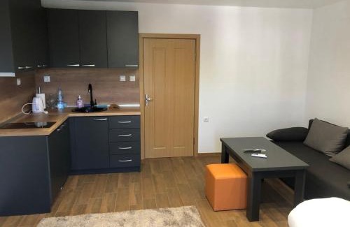 Sandanski Apartamento | Студиа КРИСИ