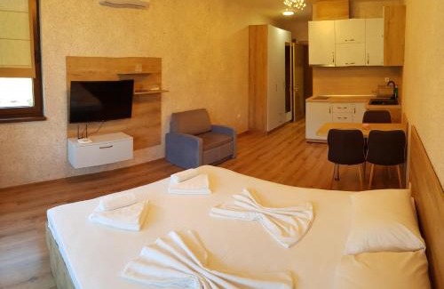 Shkorpilovtsi Apartamento | Студио Дани