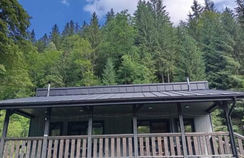 Verkhovyna Casa | Тишина гір Над потоками