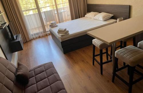 Shkorpilovtsi Apartamento | Фамилно студио Релакс