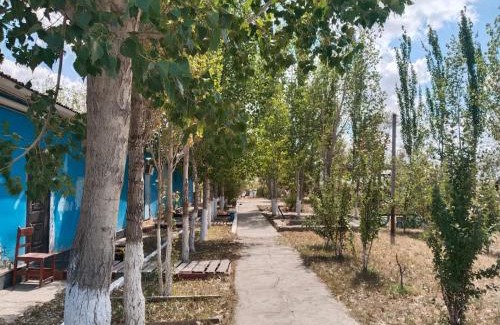 Kyzylorda Apartamento | Хостел