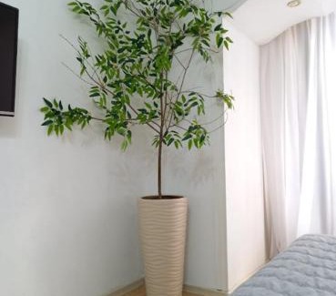 Aktobe Apartamento | Яркая Звезда