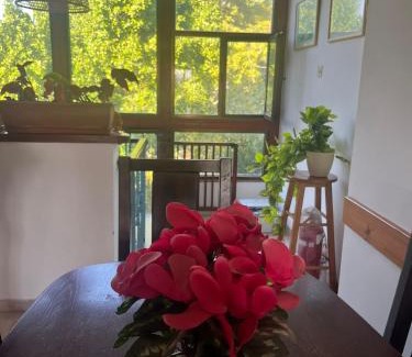 Katzrin Casa | אירוח גאלה בגולן