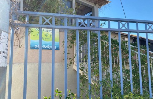 Shlomi Casa | בין יער לים